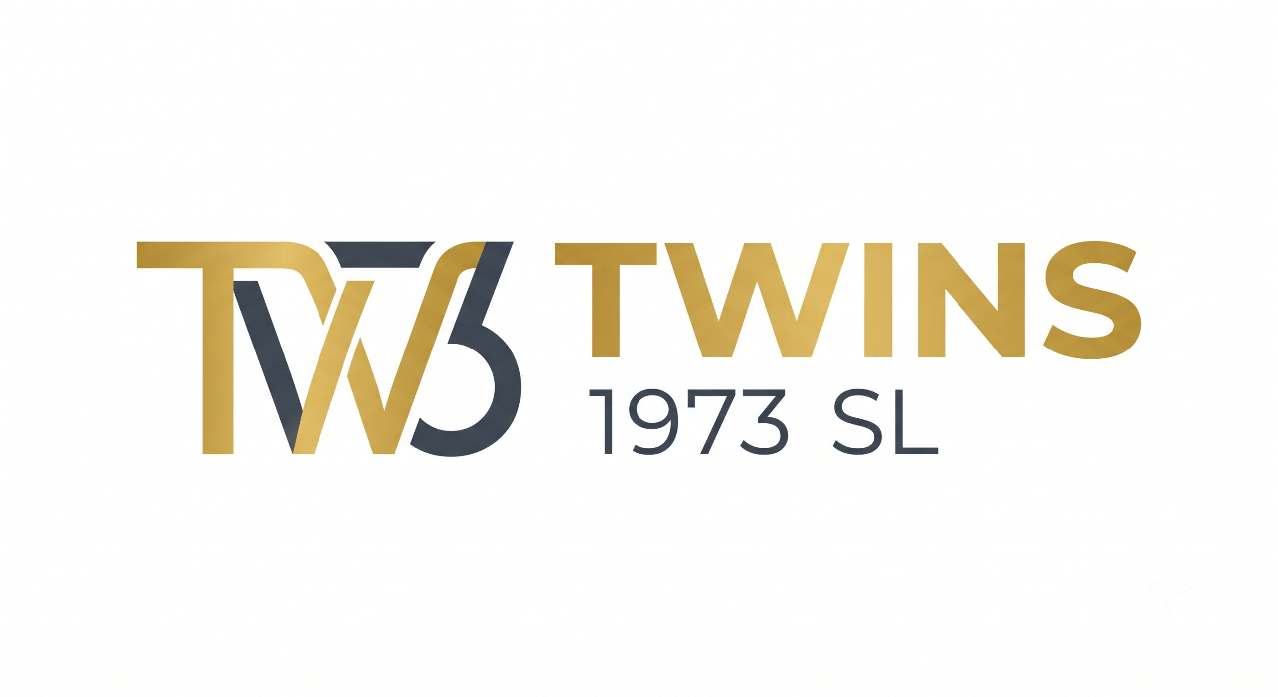 Gemini Generated Image Pb4Xn1Pb4Xn1Pb4X | TWINS 1973 SL